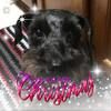 toniscloset